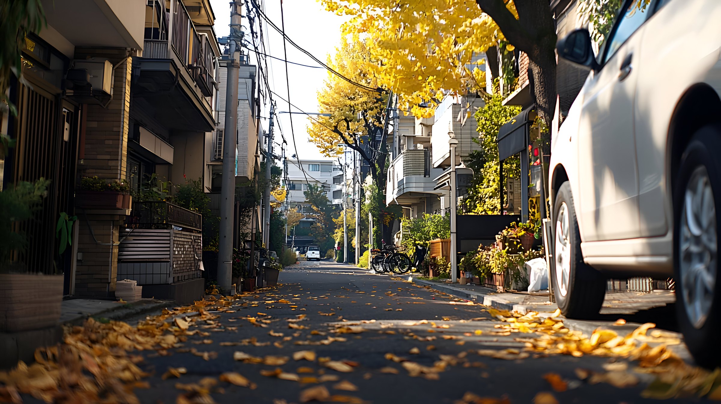 A quiet Japanese neighbourhood street in warm evening light
