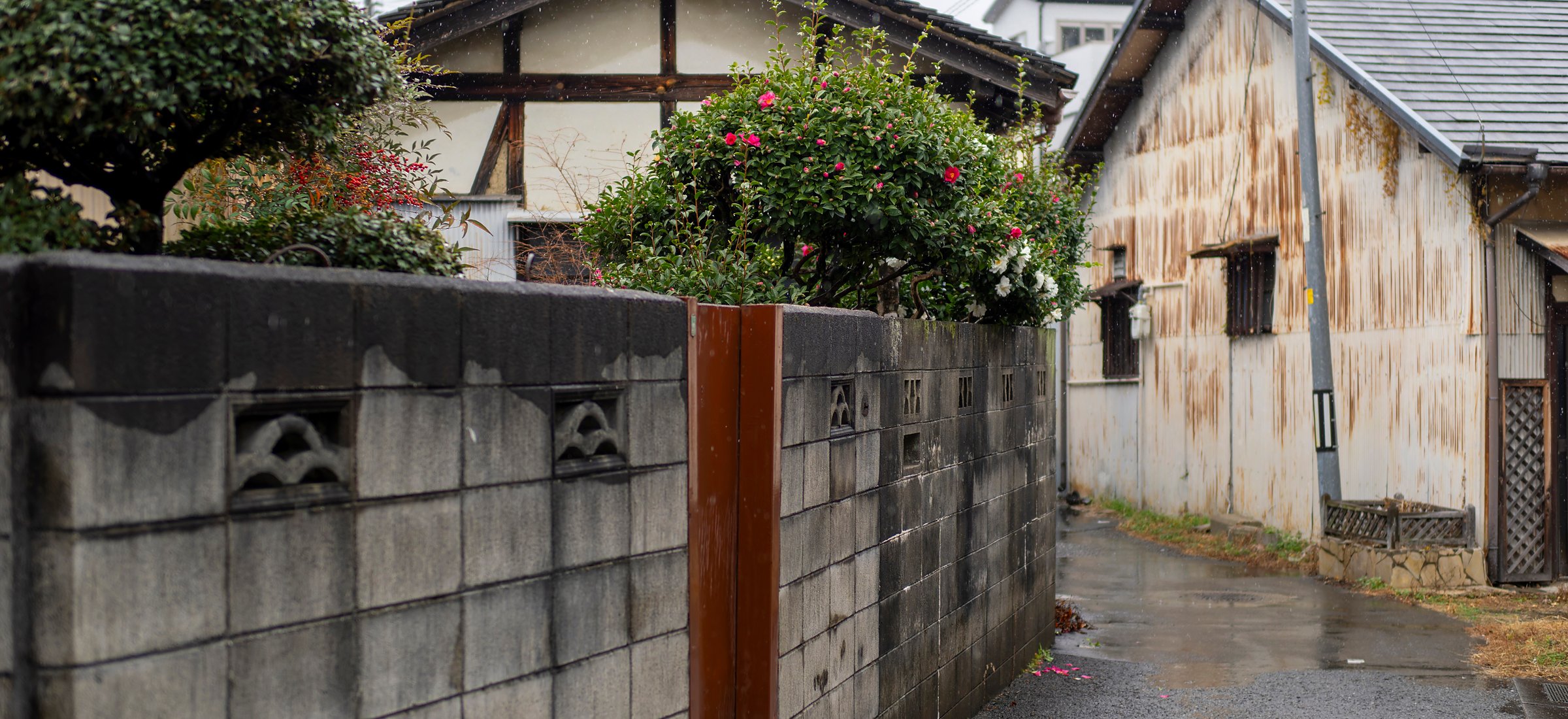 Older Japanese houses behind a low wall on a wet street