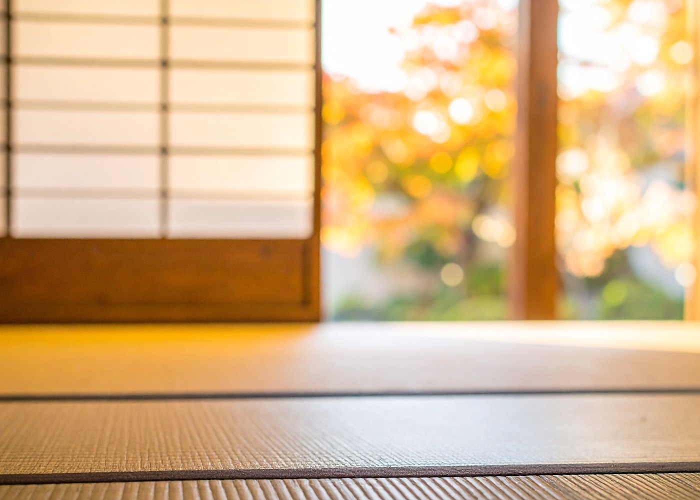 Soft light through a paper window onto a tatami floor